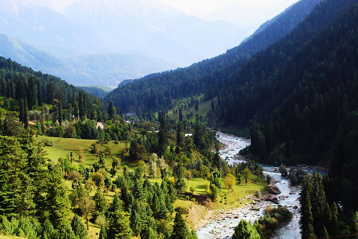 Image by SOURAV BHADRA