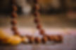 AGL | Rudraksha Testing Lab