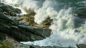 Stormy Heart. Wild Emotions?