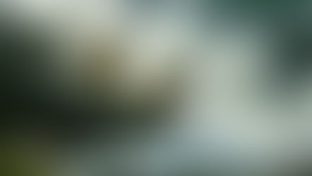 Stormy Heart. Wild Emotions?