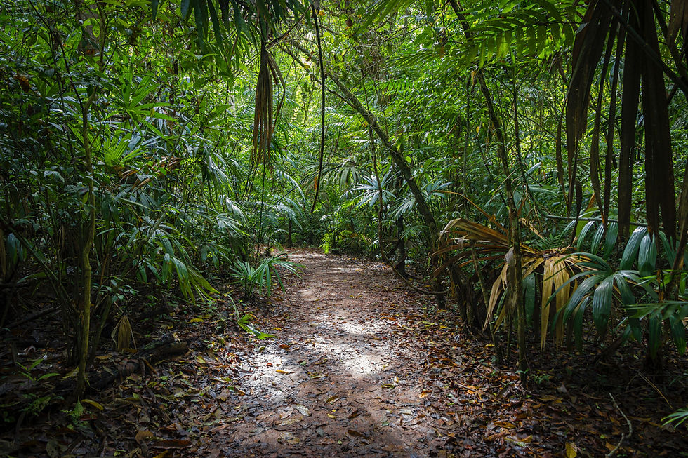 Image by Isaac Quesada