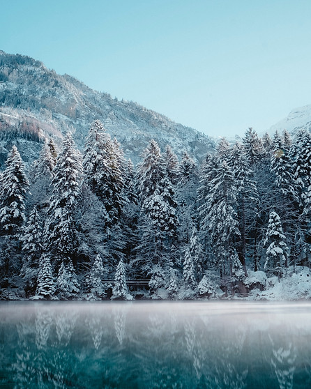 Image by Joel & Jasmin Førestbird