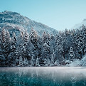Image by Joel & Jasmin Førestbird