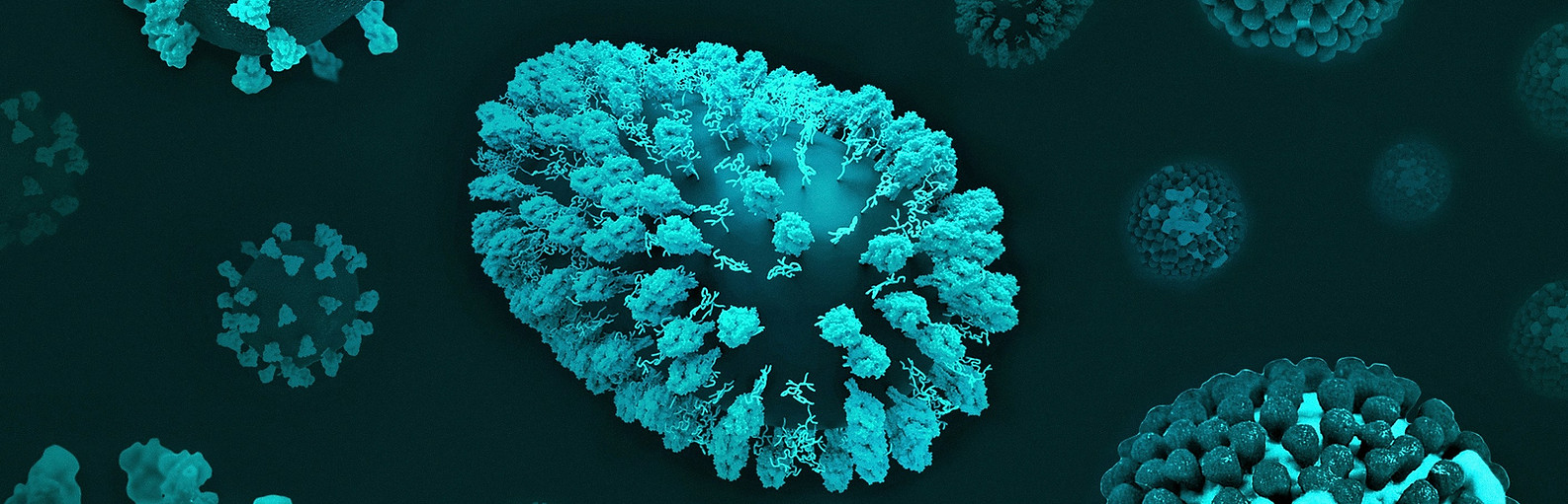 Image by National Institute of Allergy and Infectious Diseases