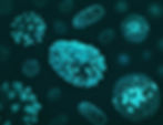 Microscopic black and teal viruses and mitochondria - Image by National Institute of Allergy and Infectious Diseases