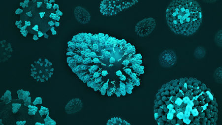 How immunology is redefining its frontiers after the 2025 Nobel Prize