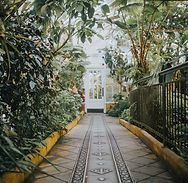 Image by Cole Keister