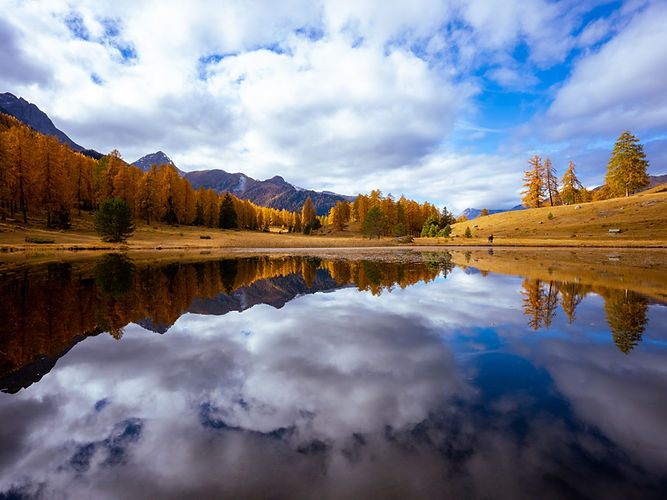 Image by Jonas Lang