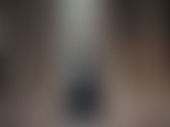 Köpek Eğitiminde Yanlış Anlaşılan 5 İnanış