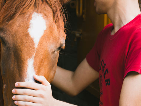 The First Rescuers: When Compassion Became a Movement
