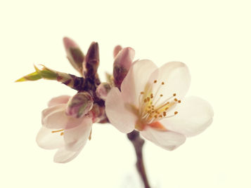 Take a peek to see what's in store for Spring classes at Lewiston-Auburn SC