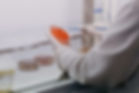 Image by Trnava University