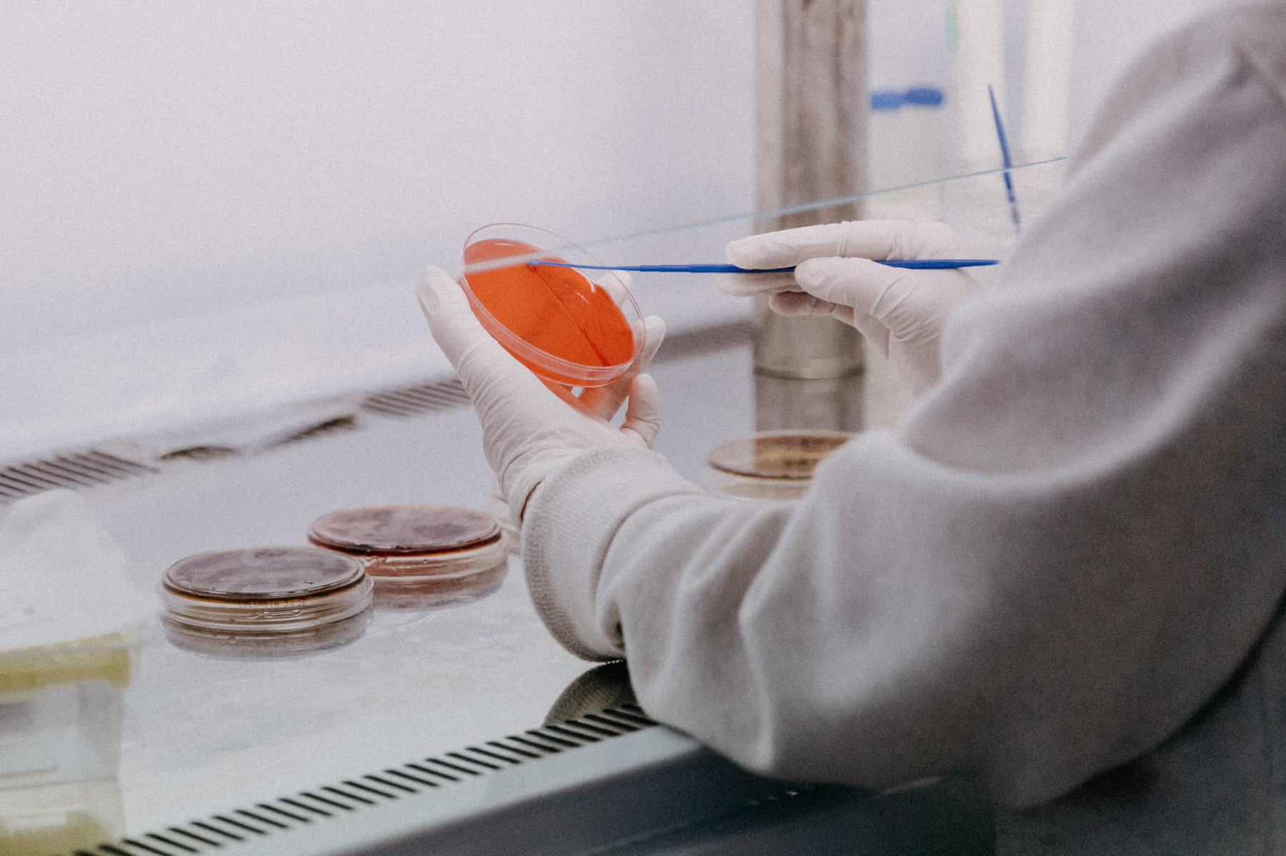 Can my employer make me get a Covid-19 vaccine? - All You need to know.