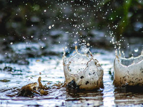 Mud Puddle - By: Anonymous