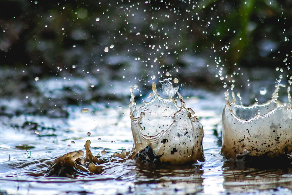 Mud Olympics