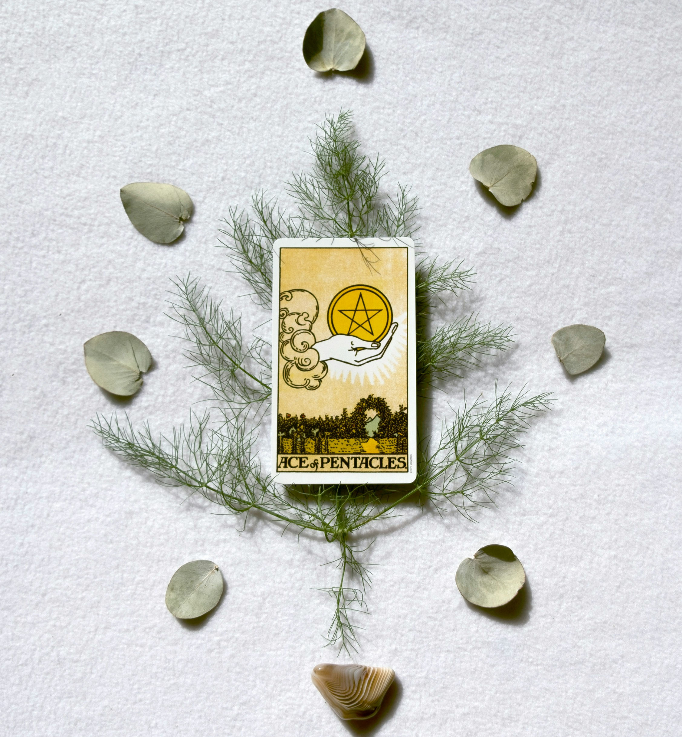 🤩YOU'VE EARNED THIS! OPPORTUNITIES POUR INTO YOUR LAP WHILE NEW & OLD LOVE HUNT