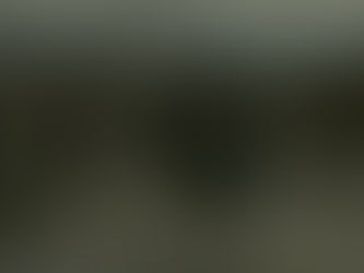 The Children Of the Waning Star, A TikTok Cult