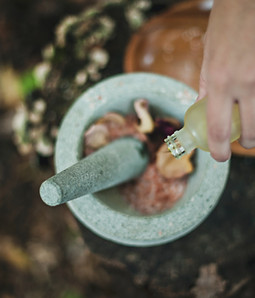 Image by Katherine Hanlon