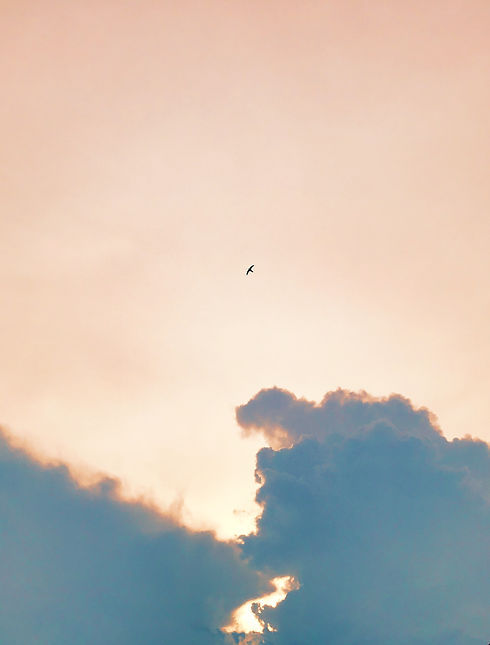 Image by Huu Thong
