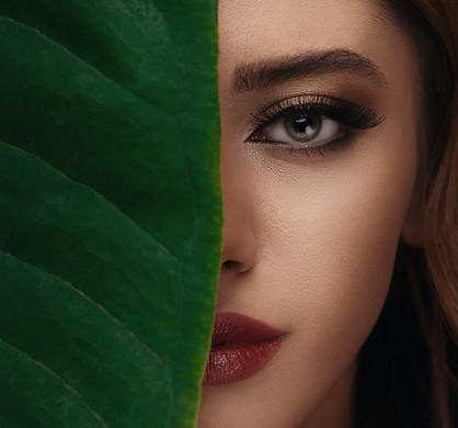 Image by Majid Akbari