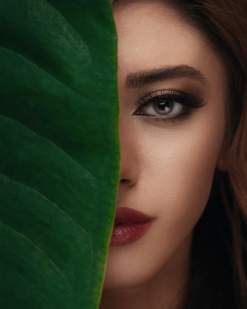 Image by Majid Akbari