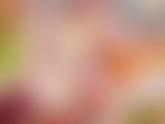 Ann Storck Center to Host "Brunch and Bubbly" in Celebration of Galentine's Day on Feb. 18