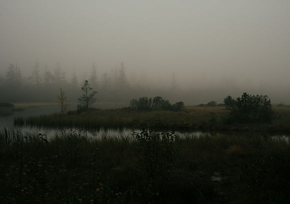 Image by Alexander Höhn