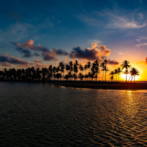 Sunset on the beach with Bon Voyage