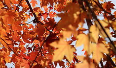 Image by Mission Pilot