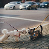 Image by Bundo Kim