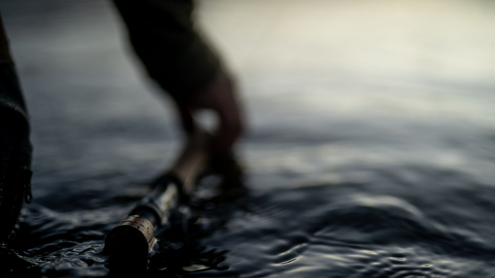 Image by Samantha Deleo