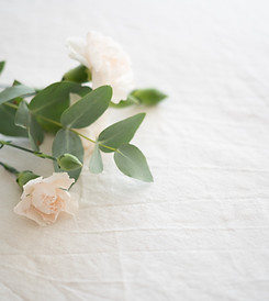 Image by Jacinta Christos
