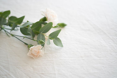 Image by Jacinta Christos