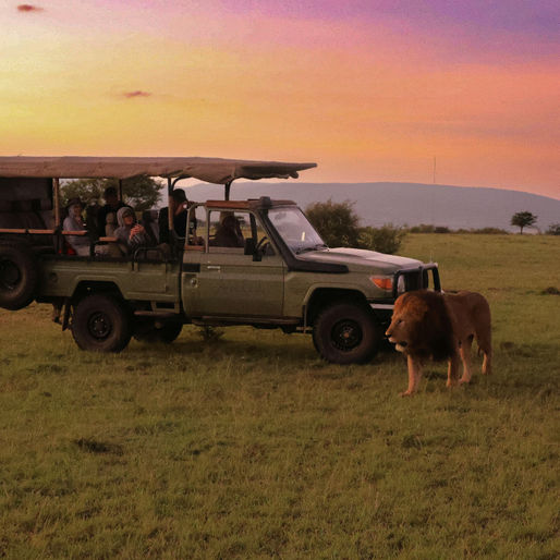 ZIMRA Public Notice 95 of 2024: Notice to all Tourism Stakeholders