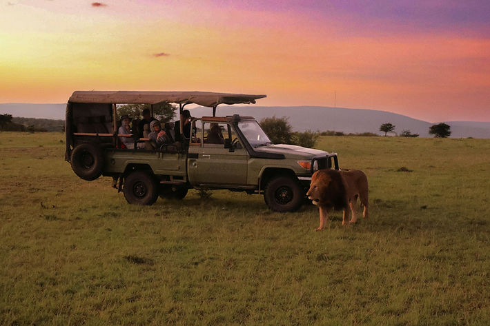 tanzania safari from zanzibar