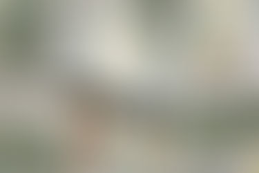 The Signature on the Dollar: Power, Symbolism, and the Subtle Shift of 2026