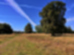 Summer Talks - Dr. Mike Hodder - Archaeology and Nature in Sutton Park - FREE