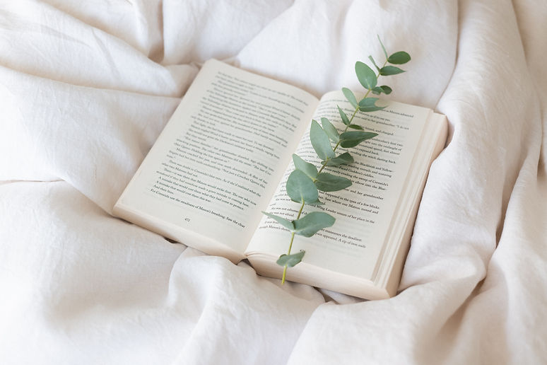 Image by Jacinta Christos