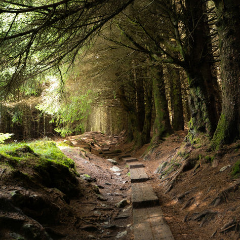 Hiking path.