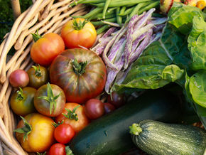 Top Three Most Profitable Crops to Plant this Fall