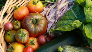 Top Three Most Profitable Crops To Plant This Fall 