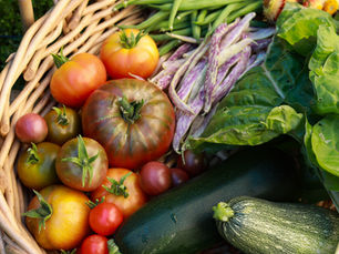 Harvest What You’ve Built: A Rebel’s Guide to Recognizing Your Wins