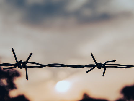 Wenn Schmerz nicht verschwindet – und wir lernen, mit ihm zu leben