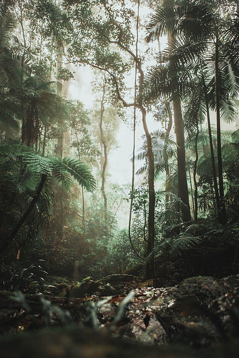 Image by Justin Clark