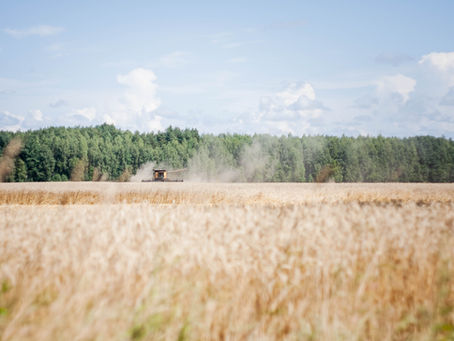 GRAIN GROWERS CONCERNED ABOUT NEW DUST EXPOSURE LIMITS