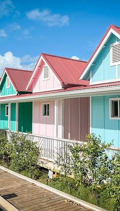 Image by Alexandra Tran