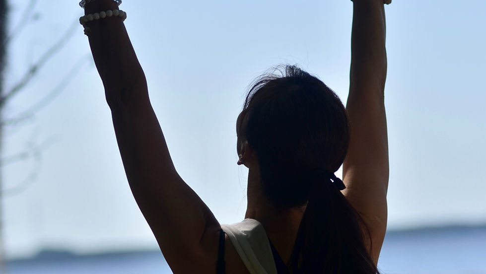 QiGong Fusion
