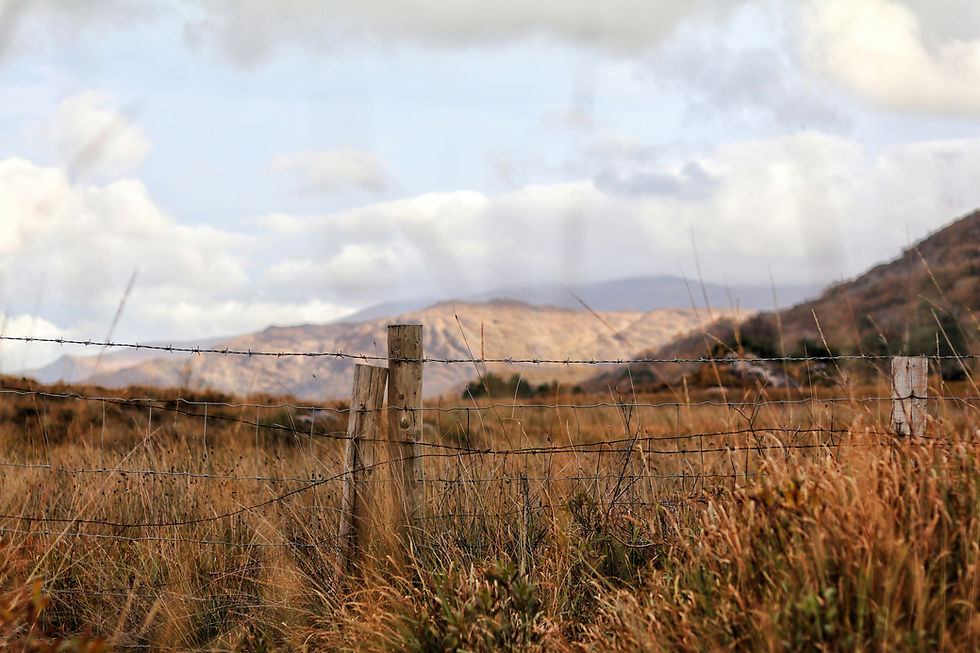 Fields