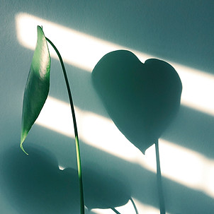 Image by Tom Swinnen