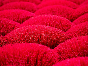 Best King Size Spring